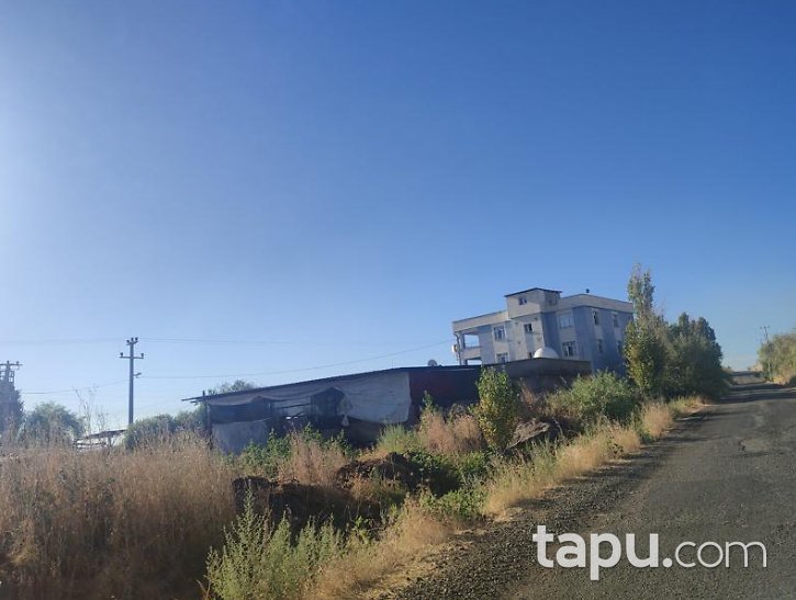Diyarbakır Yenişehir Tanışık'da Hisseli 2 Dönüm Tarla