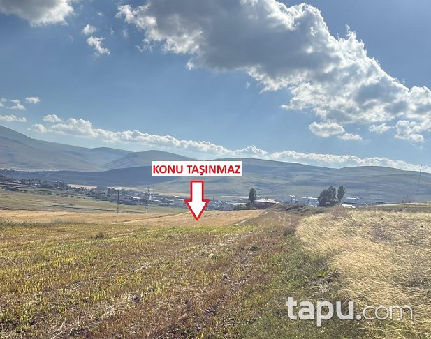 Ardahan Çıldır Saymalı'da 14.568 m2 Tarla