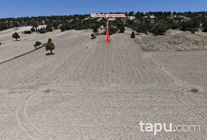 Kütahya Aslanapa Bezirgan'da 3 Adet Tarla